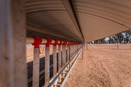 Feedlot system